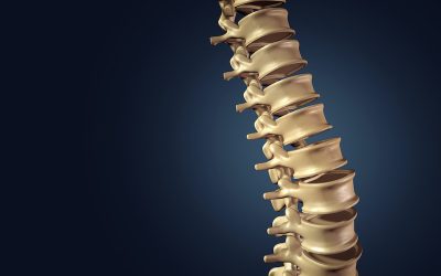 Preventing Back Injuries in the Workplace