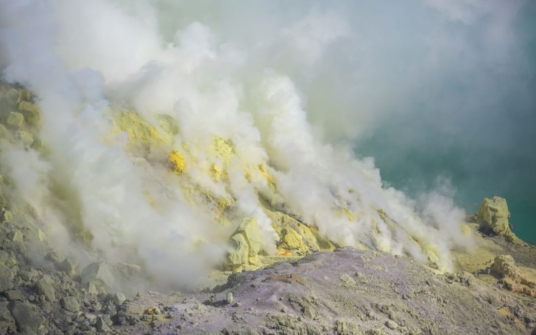 Hydrogen Sulfide: Toxicity