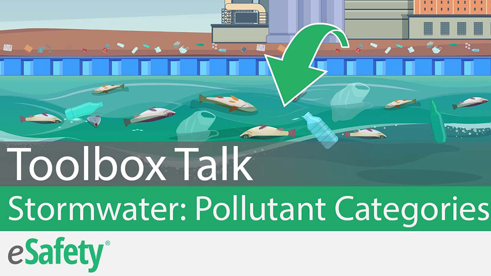 Stormwater Pollution: Pollutant Categories